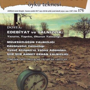 Deliler Teknesi, Sayı 17