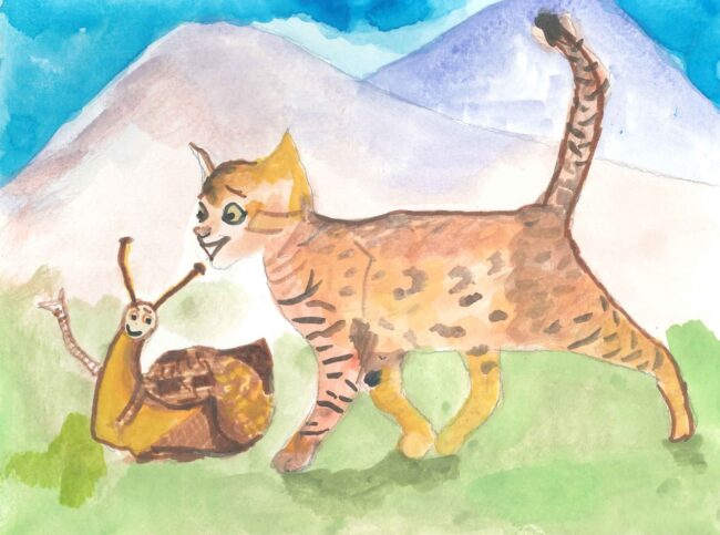 Salyangoz ile Kedi (1)