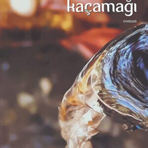 Kör Kaçamağı, Gül Anasal, Aydili Sanat Yayınları