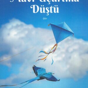 Mavi Uçurtma Düştü, Zeynep Kösalı, Aydili Sanat Yayınları