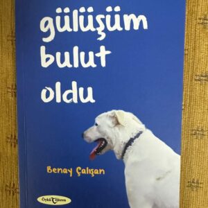 Gülüşüm Bulut Oldu, Benay Çalışan