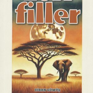 Zen Filler, Diren Gümüş, Aydili Sanat Yayınları