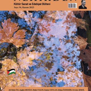 Nehirden KSE Bülteni, Sayı 35