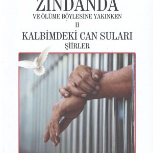 Zindanda, Kudret Köksal