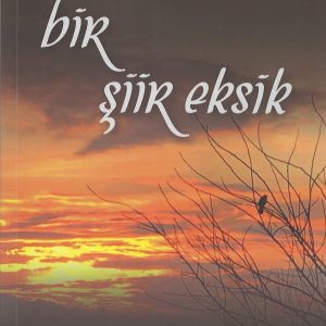 Bir Şiir Eksik, Tahsin İstanbullu
