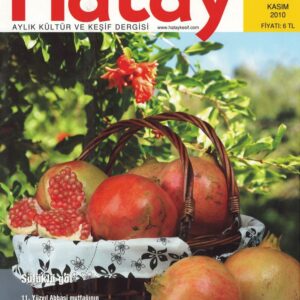 Hatay Keşif Dergisi, Sayı 41.jpg