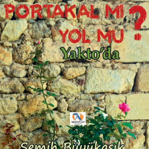 Portakal mı Yol mu